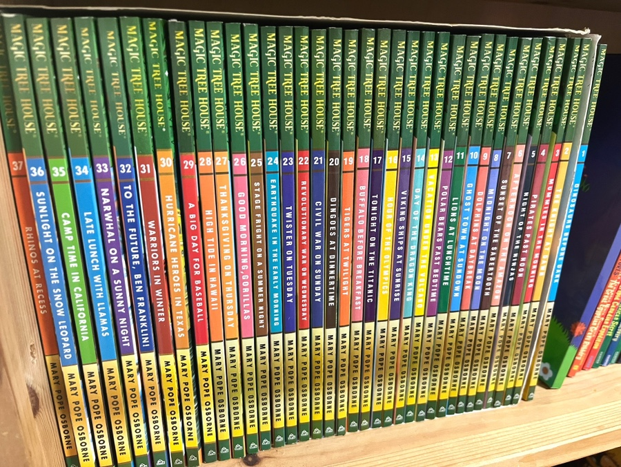 초2 영어 원서 Magic Tree House 읽기